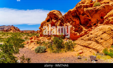 Die bunten Berge entlang Northshore Road SR 167 im Lake Mead National Recreation Area in der Halbwüste Landschaft zwischen Boulder City und Overton, Nevada, USA Stockfoto