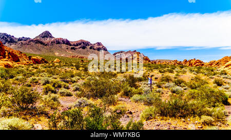 Die bunten Berge entlang Northshore Road SR 167 im Lake Mead National Recreation Area in der Halbwüste Landschaft zwischen Boulder City und Overton, Nevada, USA Stockfoto