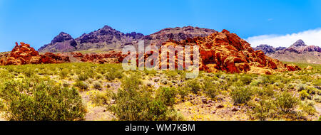 Die bunten Berge entlang Northshore Road SR 167 im Lake Mead National Recreation Area in der Halbwüste Landschaft zwischen Boulder City und Overton, Nevada, USA Stockfoto