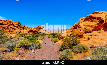 Die bunten Berge entlang Northshore Road SR 167 im Lake Mead National Recreation Area in der Halbwüste Landschaft zwischen Boulder City und Overton, Nevada, USA Stockfoto