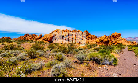 Die bunten Berge entlang Northshore Road SR 167 im Lake Mead National Recreation Area in der Halbwüste Landschaft zwischen Boulder City und Overton, Nevada, USA Stockfoto