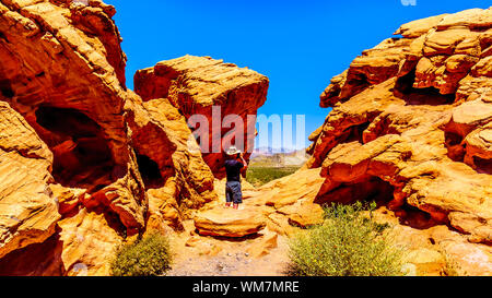 Robuste rote Felsen entlang der Northshore Road SR 167 die durch Halbwüste Landschaft läuft in Lake Mead National Recreation Area in Nevada, USA Stockfoto