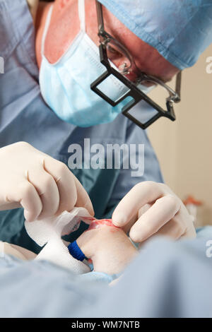 Tierarzt durchführen von Knie-OP auf kleiner Hund in Klinik Stockfoto