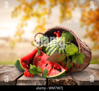 Wassermelonen in einem Korb auf einem Natur-Hintergrund Stockfoto