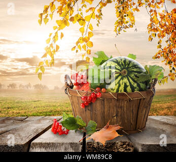 Korb mit Wassermelonen auf einem Natur-Hintergrund Stockfoto