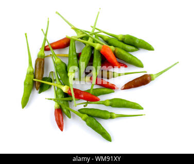 Mini Red Hot Chilli, Reife und unreife, frisch gepflückt aus Chili-Pflanze. Stockfoto