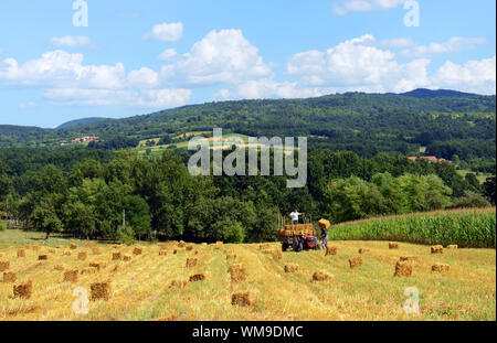 Serbische Bauern laden Heuballen in ihrem Gebiet im westlichen Serbien. Stockfoto