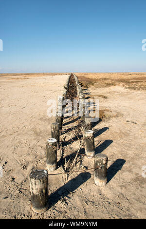 Bild von Holzmasten für Schutz an einem Strand in Norddeutschland Stockfoto