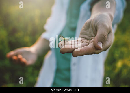 Junge hält eine Heuschrecke in seiner Hand bei Sonnenuntergang Wiese, ländliche Szene Stockfoto