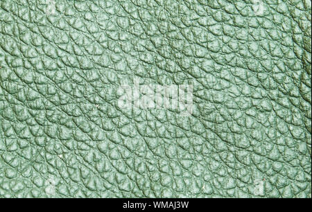 grünem Leder Textur Stockfoto