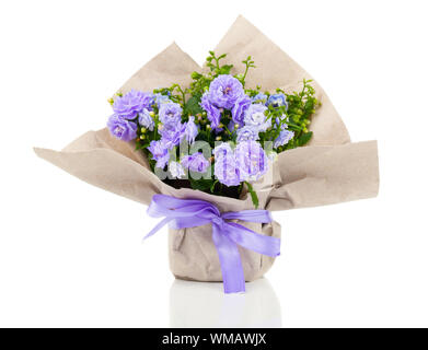 Campanula Terry mit blauen Blüten in Papierverpackungen, isoliert auf weißem Hintergrund Stockfoto