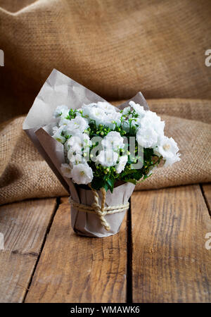 weiße Campanula Terry Blumen in Papierverpackungen auf Sackleinen, hölzernen Hintergrund Stockfoto