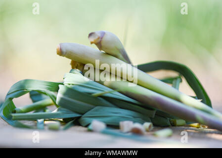 Lemon Grass Bedienhebel auf Holz mit Zitronengras Blätter auf Natur Hintergrund Stockfoto