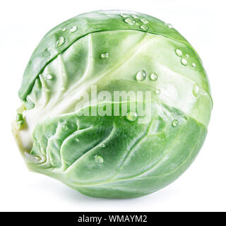 Grüne brussel Sprout mit Wassertropfen auf weißem Hintergrund. Stockfoto