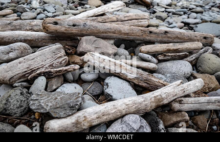 Drift Holz auf einem steinigen Strand in der Nähe von Skagafjord, North Island Stockfoto