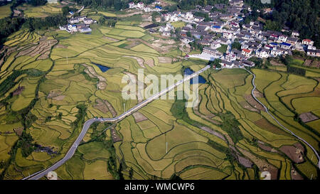 Peking, China. 4. Sep 2019. Luftaufnahme auf Sept. 4, 2019 zeigt, terrassierten Reisfeldern in Shake Village der Tujia und Miao Xiangxi Autonomen Präfektur, die Zentrale China Provinz Hunan. Credit: Chen Zeguo/Xinhua/Alamy leben Nachrichten Stockfoto