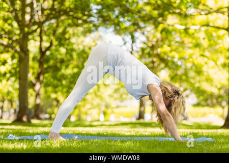 Passen blonde Yoga im Park an einem sonnigen Tag Stockfoto