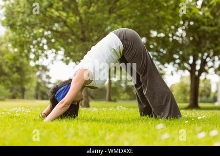 Brunette in Dolphin stellen im Park an einem sonnigen Tag Stockfoto