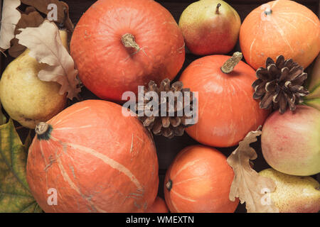 Herbst noch Leben mit bunten Blättern, Reife orange Kürbisse, Äpfel. Blick von oben. Horizontale Ausrichtung. Stockfoto