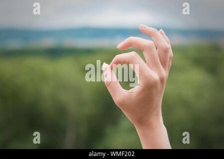 Hand "OK" Zeichen isoliert auf weißem Hintergrund Stockfoto