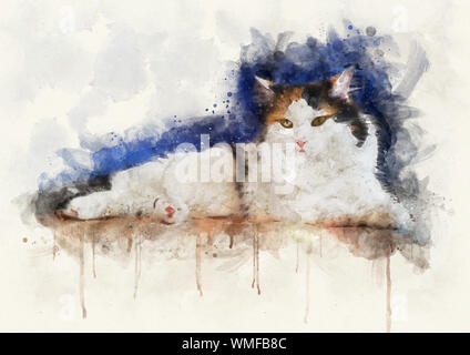 Watercolor Illustration einer Calico Cat. Calico katzen sind katzen mit einem beschmutzt oder particolored Mantel, die vorwiegend weiß, mit Patches o Stockfoto