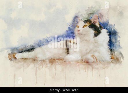 Watercolor Illustration einer Calico Cat. Calico katzen sind katzen mit einem beschmutzt oder particolored Mantel, die vorwiegend weiß, mit Patches o Stockfoto