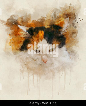 Watercolor Illustration einer Calico Cat. Calico katzen sind katzen mit einem beschmutzt oder particolored Mantel, die vorwiegend weiß, mit Patches o Stockfoto