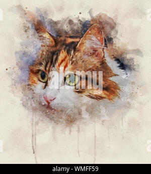 Aquarell Portrait Illustration einer Calico Cat Stockfoto