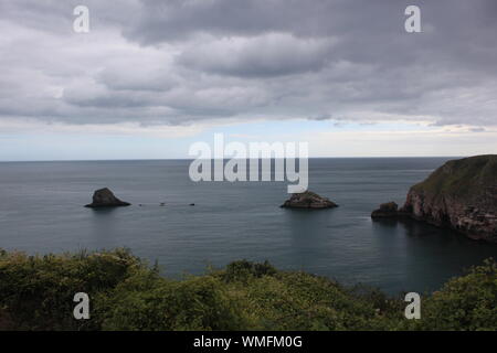 Blick von den Klippen auf das Meer bei Berry Head, Devon. Eine atemberaubende Küste Strand und einer der wichtigsten Gateways an die Englische Riviera globale Geopark. Stockfoto