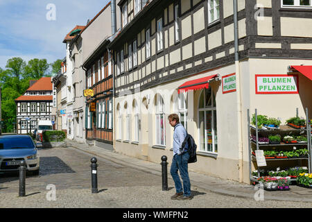 Ritterstrasse, Altstadt, Spandau, Berlin, Deutschland Stockfoto