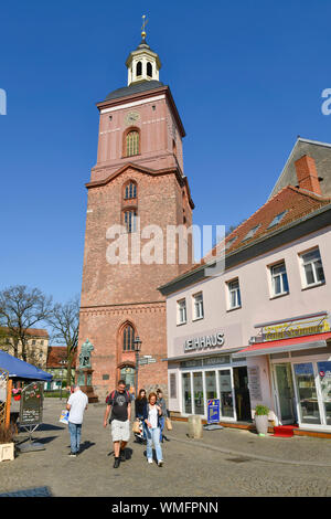 St. Nikolai-Kirche, Reformationsplatz, Altstadt, Spandau, Berlin, Deutschland Stockfoto