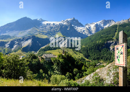 Frankreich, Hautes Alpes, Nationalpark Ecrins, Oisans, La Grave, bezeichnete die Schönsten Dörfer Frankreichs, Blick auf die Meije-massivs // Frankreich, Haut Stockfoto