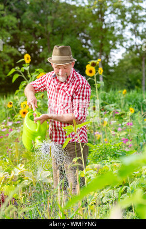 Porträt der schönen bayerischen Mann in den Garten und Bewässerung der Blumen Stockfoto