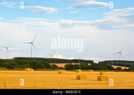 Windräder hinter Felder von Gerste in der Nähe von Portsoy in Aberdeenshire Scotland Stockfoto