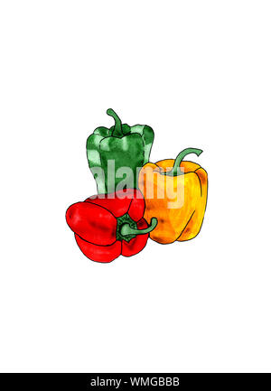 Paprika drei Farben Rot, Grün und Gelb Aquarell Stockfoto