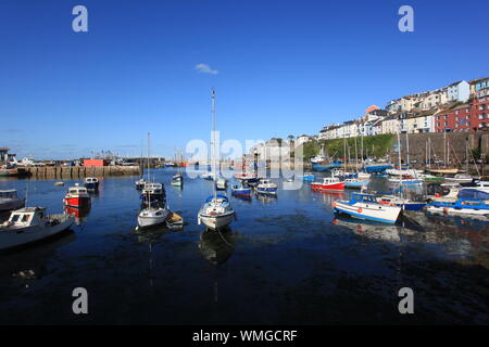 Reisen, Transport & Lifestyle - Panoramablick auf Yachten und Boote segeln entlang der Englischen Riviera am Hafen von Brixham, Devon. Stockfoto