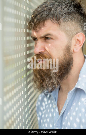 Bärtiger Mann im blauen Hemd durch die Löcher in der fensterläden suchen. Detektiv stand am Fenster und beobachtete Straße, ein Geheimnis, das Konzept. Mann mit ernsten Gesicht Stockfoto