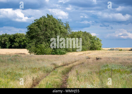 Steppenlandschaft mit einem Country Road Stretching in der Abstand in der vergilbten Gras entlang dem Rand der grüne Bäume vor einem blauen bewölkten Himmel. Stockfoto