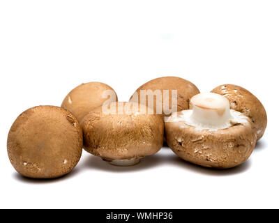 Sechs crimini Pilze auf weißem Hintergrund. Selektive konzentrieren. Stockfoto