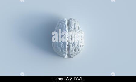 3D-Render von weißen menschlichen Gehirn mit 2 Seiten gehören 1 shattered Seite, Ansicht von oben minimalistisches Konzept auf weißem Hintergrund. Stockfoto