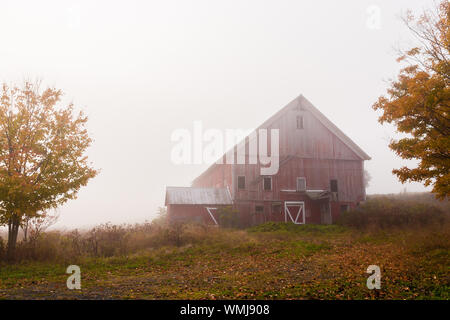 Land Scheune an einem nebligen Morgen im Herbst, Stowe, Vermont, USA. Stockfoto