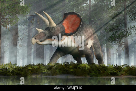 Triceratops war ceratopsian Dinosaurier war ein Gerüscht und Gehörnte, vierbeinige Tier. Es lebte in der Kreidezeit. Stockfoto