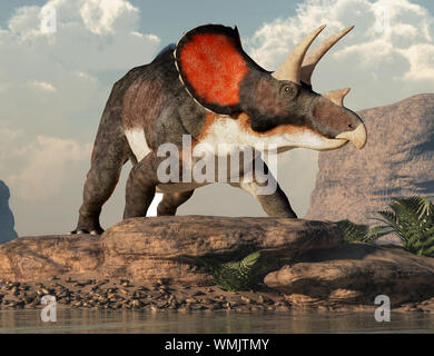 Triceratops war ceratopsian Dinosaurier war ein Gerüscht und Gehörnte, vierbeinige Tier. Es lebte in der Kreidezeit. Stockfoto