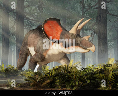 Triceratops war ceratopsian Dinosaurier war ein Gerüscht und Gehörnte, vierbeinige Tier. Es lebte in der Kreidezeit. Stockfoto