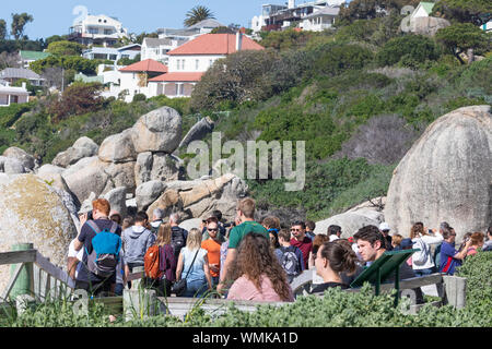 Masse der Touristen auf dem Boardwalk Aussichtspunkt am Boulders Beach anzeigen Der afrikanische Pinguin Kolonie, Simonstown, Kapstadt, Südafrika Stockfoto