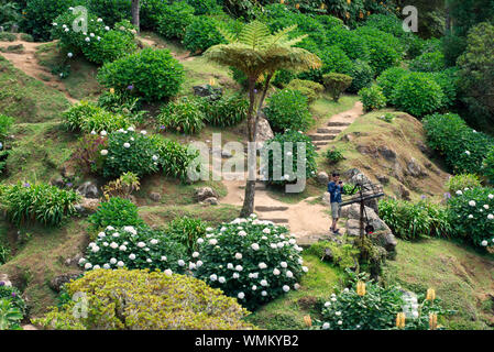 Ribeira dos Caldeirões Naturpark - Azoren Stockfoto