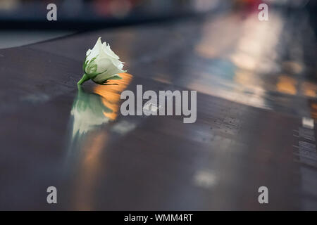 Authentische Reiseeindrücke: Rose auf dem Denkmal von 9/11 in New York Stockfoto