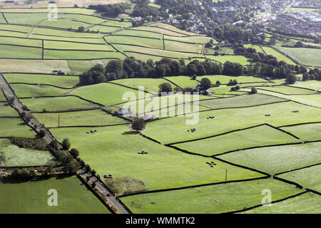 Luftaufnahme von Trockenmauern in Yorkshire. Stockfoto