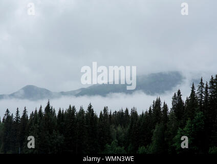 Berge und Wald im Nebel, Nebel und Wolken in Norwegen abgedeckt Stockfoto