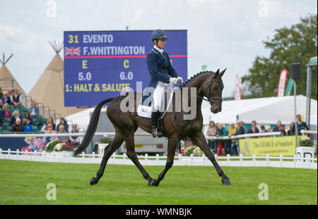 Stamford, Großbritannien. 05 Sep, 2019. Donnerstag, den 5. September 2019. Land Rover Burghley Horse Trials, Stamford, Lincolnshire, Großbritannien. Dressage phase Tag 1 von 4 Francis Whittington (GBR) Reiten Evento Credit: Julie Priestley/Alamy leben Nachrichten Stockfoto